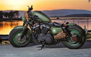 Stunning shot of Stunning shot of Harley Davidson Sportster Iron 883